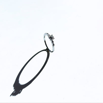 Ring Novelle