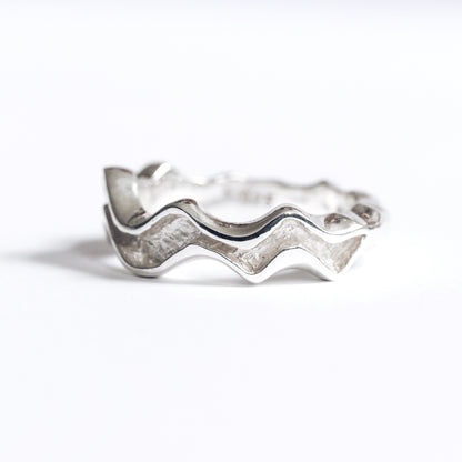 Ring Auster