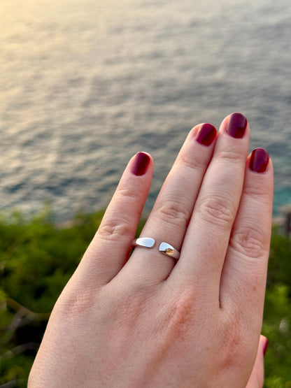 Ring Mani